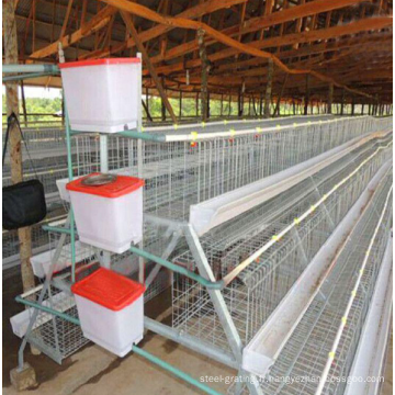 cage à poulet de qualité ferme ou poulailler à vendre